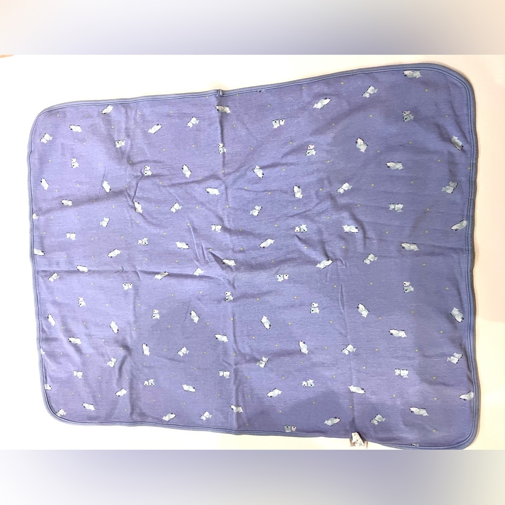 Carter baby blanket